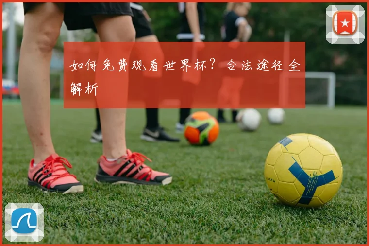 如何免费观看世界杯？合法途径全解析